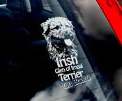 Irish glen of imaal terrier bildekal - on board