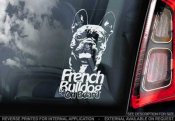 Fransk bulldogg bildekal 2 - on board