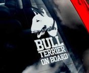 Bullterrier bildekal - on board