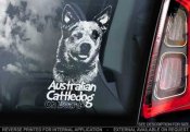 Australian cattledog bildekal V3 - on board