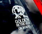 Golden retriever bildekal - on board