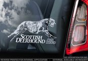 Skotsk hjorthund bildekal (scottish deerhound) V2 - on board