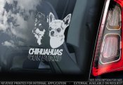Chihuahua bildekal