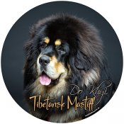 Tibetansk mastiff bildekal