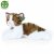 Katt mjukisdjur 50 cm Rappa