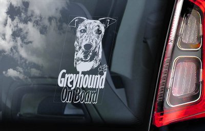 Greyhound bildekal