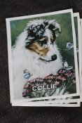 Collie- bildekaler Lee Ann 8
