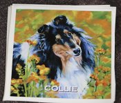 Collie- bildekaler Lee Ann 9