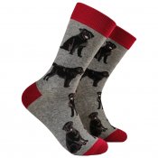 Labrador retriever (svart) strumpor 2-pack 1 Soctopus