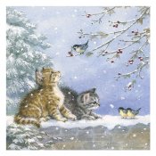 Servetter Watching Birds Lunch Edelweiss