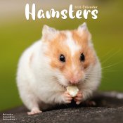Hamster väggkalender 2026