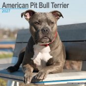 Amerikansk pitbullterrier väggkalender 2027