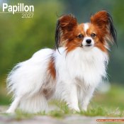 Papillon väggkalender 2027