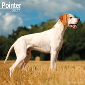 Pointer väggkalender 2027