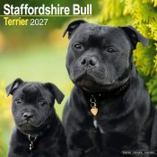 Staffordshire bullterrier väggkalender 2027