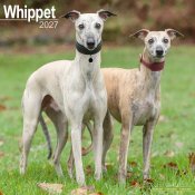 Whippet väggkalender 2027