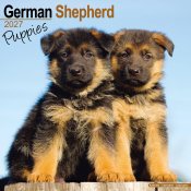 Tysk schäferhund valpar väggkalender 2027