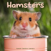 Hamster väggkalender 2027
