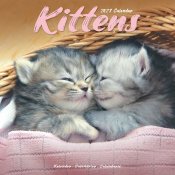 Kattungar väggkalender 2027