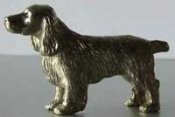 Field spaniel minimodell