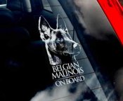 Belgisk vallhund malinois bildekal - on board