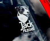 Jack russell terrier bildekal 2 - on board