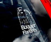 Bouvier des flandres bildekal - on board