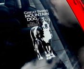 Grosser schweizer sennenhund bildekal (engelsk text) - on board