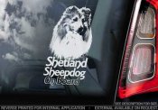 Shetland sheepdog bildekal V2 - on board