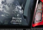 Belgisk vallhund malinois bildekal V18 - on board