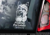 Podengo Portugues Pequeno Cerdoso bildekal V2 - on board