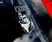 östsibirisk laika bildekal - on board