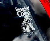 Bearded collie bildekal - on board