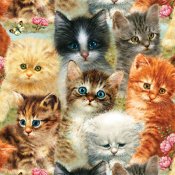 A Pile of Kittens pussel 1000 bitar