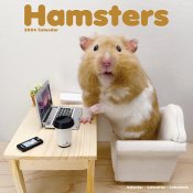 Hamster väggkalender 2024