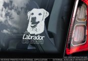 Labrador retriever (gul) bildekal V15 - on board