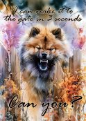 Eurasier varningsskylt 2 JB