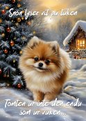 Pomeranian varningsskylt jul 1 JB