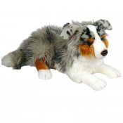 Australian shepherd mjukisdjur 50 cm Dubi