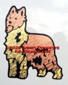 Berger picard magnet