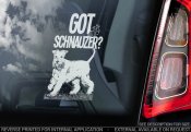 Dvärgschnauzer bildekal