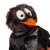 Fågel mjukisdjur Corvo Lungo Bird BeastsTown Sigikid