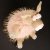 FÖRBESTÄLL! Gris mjukisdjur Spot Hog BeastsTown