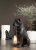 Lampa hund svart/brun Alot