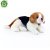 Beagle mjukisdjur 38 cm Rappa