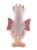 Drake mjukisdjur 20 cm Hearts Bearhouse by Charlie Bears