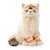 Katt mjukisdjur Dolly the Ragdoll B.T. Chaps