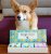 Welsh corgi pembroke strumpor 3-pack i presentask one size Celebrity Doggos