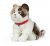 Katt mjukisdjur Scottish Fold Cat Living Nature x