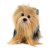 Yorkshireterrier mjukisdjur 30 cm Rappa